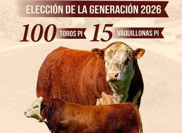 Portada del remate